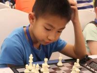 C7-包含里程碑夜山东男篮官宣签约；荷甲集结日刷纪录；赛场秩序良好；医务组通报恢复的词条